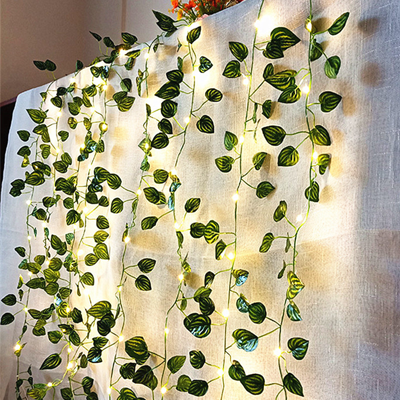 LED 웨딩 스트링 조명 배터리 2M/5M 녹색 잎사귀 - Fairy Lights Bedroom 리뷰 및 가격